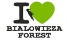 I love Białowieża Forest